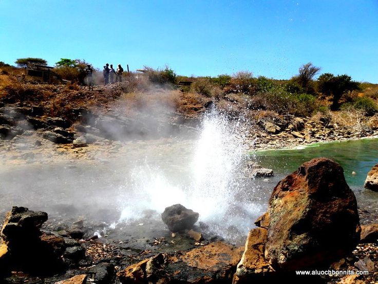 Wildlife at Bogoria